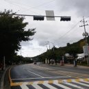 오동나무집 이미지