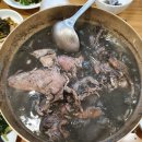 불미골오리 이미지