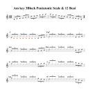 Am Key 3 Block Pentatonic Scale &amp;12 Beat 이미지