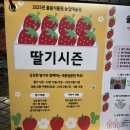 상식 축사 | 율봄식물원 방문후기│싱싱딸기수확 후기│내돈내산