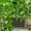 두리농장 이미지