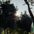 광산로 제1공영주차장 이미지