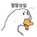 송&김약국 이미지