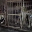 송사농장 이미지