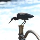 노을해안로 이미지