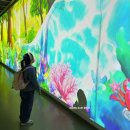 수창공원 건너 | 대구 실내 데이트 추천 대구예술발전소 동화마을 미디어아트 전시회