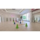 퍼피엔젤스 이미지