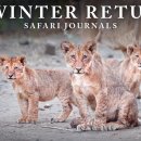 Journals From Mapungubwe National Park (4K) 이미지