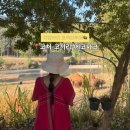 에코환경(주) | 태국치앙마이투어추천)코처코끼리에코파크|코끼리보호소 준비물,후기