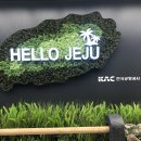 제주도 5박6일 경비 및 여행코스 총정리 (인스타 유명한곳 다가봄+연돈+더본조식+동문시장+새빌카페...