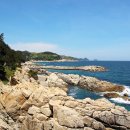 파도대게 이미지