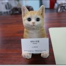 타라스타일