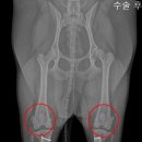 청송동물병원 이미지