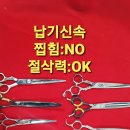 가위숲 - 순천시 | 가위숲