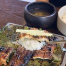 칠암바다장어 이미지