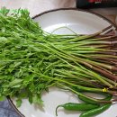 물금농협 원동지점 이미지