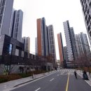 중앙동218 이미지