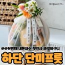 명절·상견례·첫인사 선물 추천 하단 단미프룻 과일바구니 내돈내산 후기