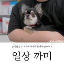 세림동물병원 이미지