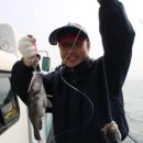 피쉬팩토리 이미지