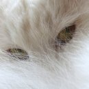 클리닝 마스터 이미지