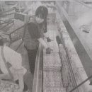 신정할인마트 이미지