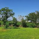 제주이야기 민박 이미지