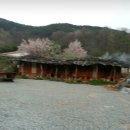 송화네민박 이미지