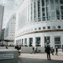 황금버섯 이미지