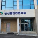 로컬푸드