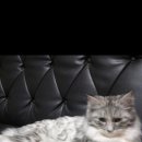 인천문학초등학교 이미지