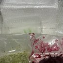 아루실업 이미지