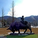 동진목장 이미지