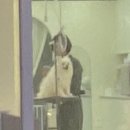 핫도그애견샵 | 안산 애견미용 잘하는 곳 찾다가 발견한 꽃댕댕싸롱 내돈내산 솔직 후기