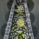 고대1118 이미지