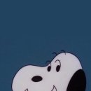 동아대학교 대학원 이미지