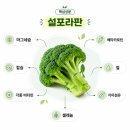 새싹슈퍼 | 간편한 자기관리 추천 브로콜리 새싹 흑마늘 슈퍼푸드 조합 헬시랜드 누리데이 후기