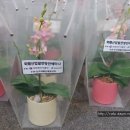 예화산업