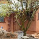 고향황토집 이미지