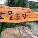 장미자농장 이미지