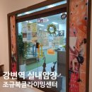 사풍정감(방학특강) | 강변 실내클라이밍 <조규복클라이밍센터> 자유운동