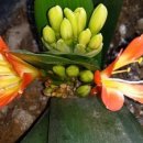 영등초등학교 이미지