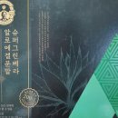 김정문알로에 광진지사 이미지