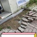 예일태권도장 | 튀어나온경계석 인도보도블럭 보수공사