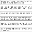 레지오 설립 100주년을 준비하는 레지오 설립 100주년을 준비하는 한국세나뚜스협의회 이미지