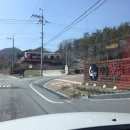 그린원 Daum카페