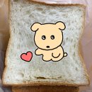 야탑역 빵집 브레젠트 식빵 구매