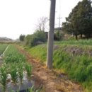 송시마을회관 이미지