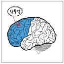 팀 보노 이미지