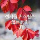 미워도 다시한번~~~~~(번) 이미지